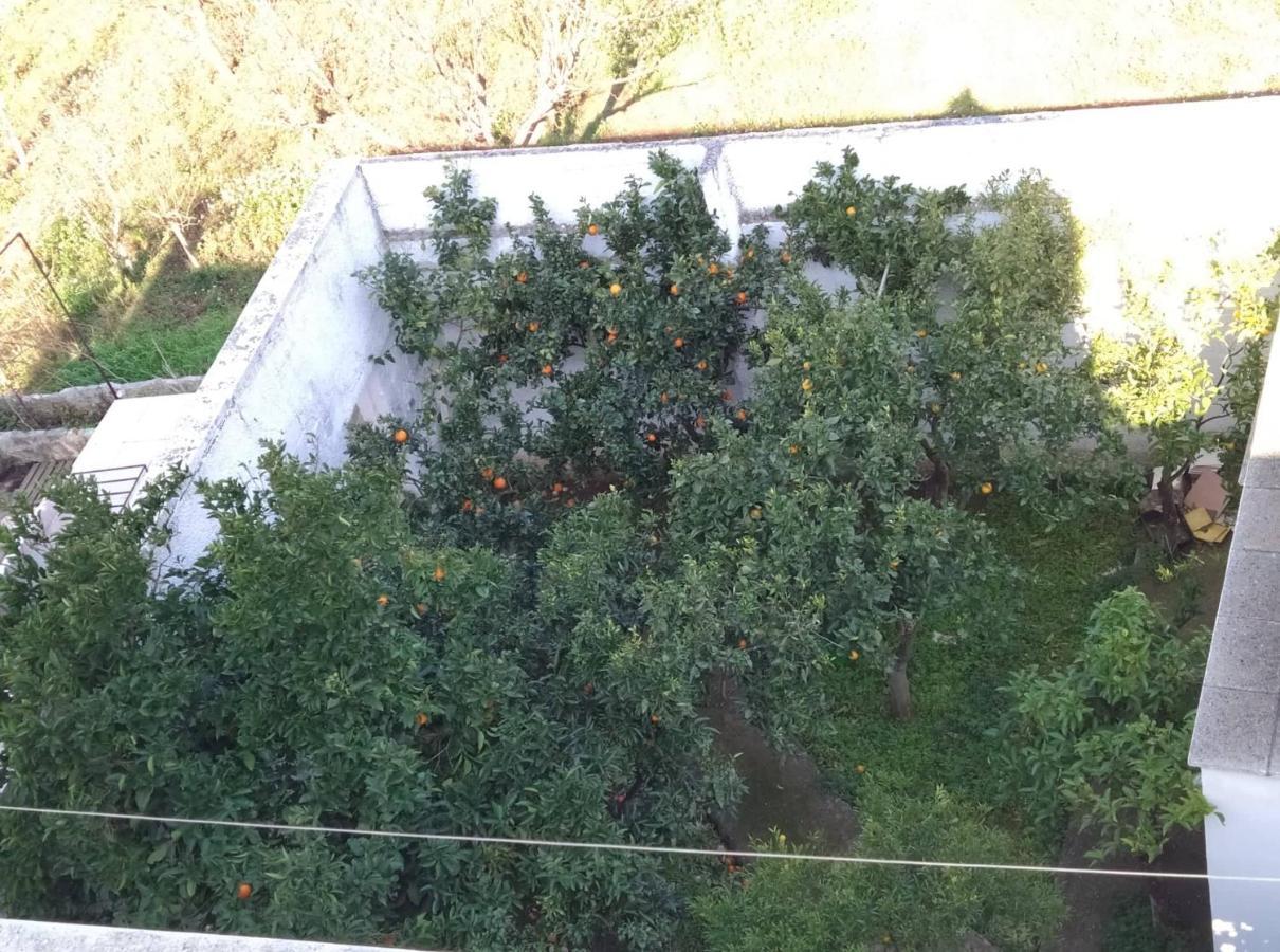 Villa Gardenia Ostuni Exterior photo