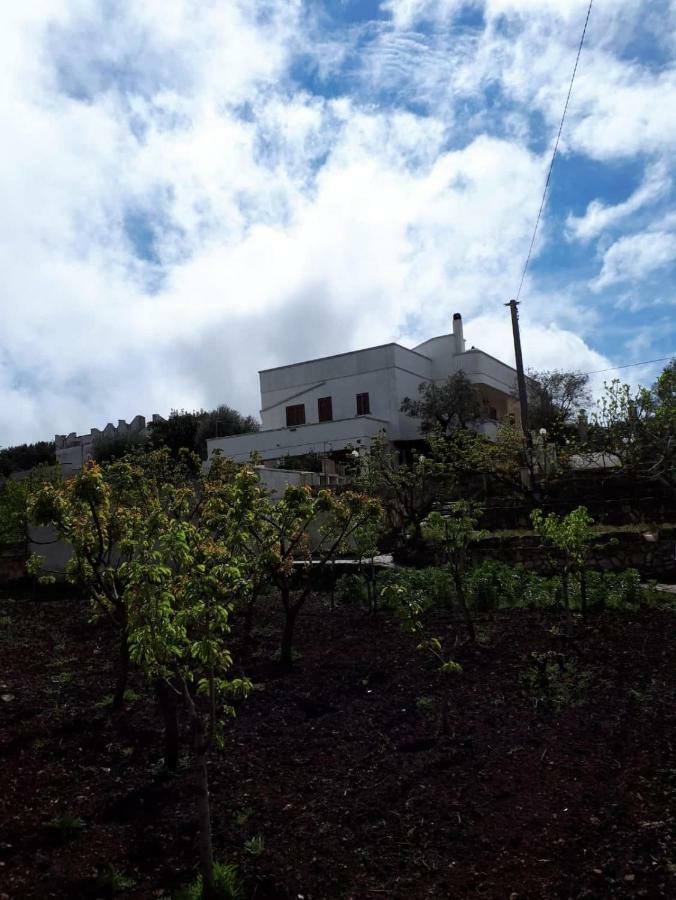 Villa Gardenia Ostuni Exterior photo